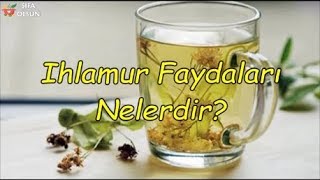 Ihlamur Faydaları Nelerdir Resimi