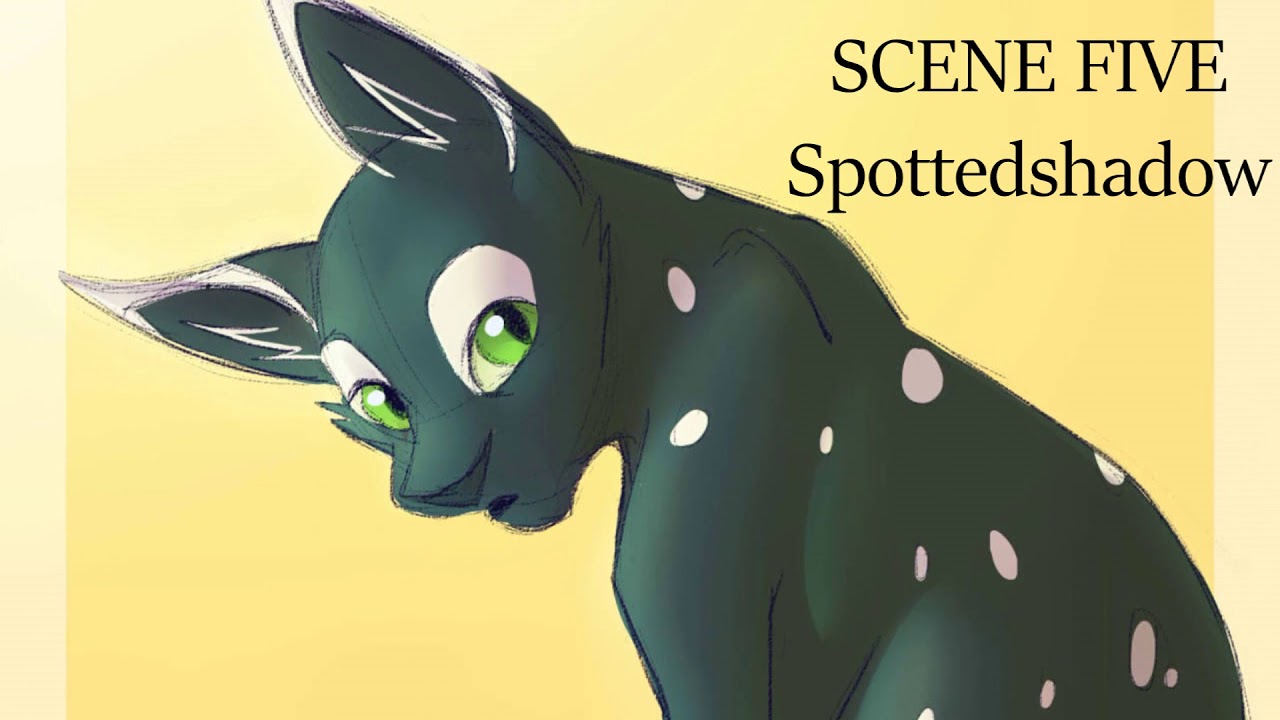 Audition for StarClan Battles