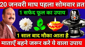 20 जनवरी माघमास पहले सोमवार को 1 सफेद फूल वाला उपाय जरूर करे || Pradeep Ji Mishra