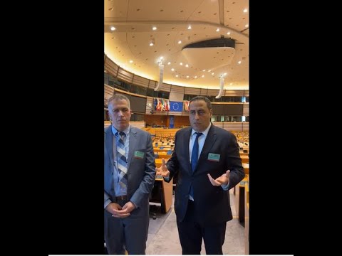 გამწარებულები შეგვხვდნენ ევროპარლამენტარები, ესენი ვინ არიანო?! ვაშაძე-ჩიხლაძე ბრიუსელიდან