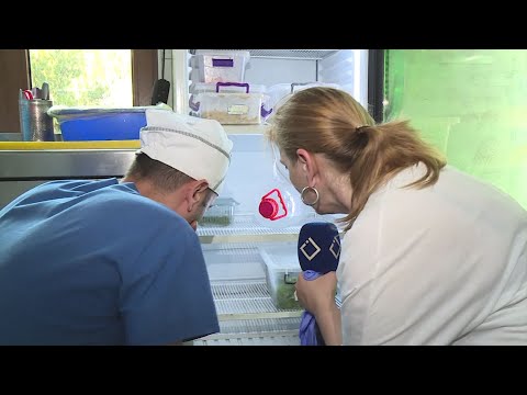 მცხეთა: რესტორანი “აურუმი” ;  რესტორანი “ძველი არმაზი”; რესტორანი “არმაზის ხეობა” - 19.09.2022