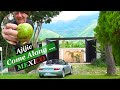 Avocados, Guacamole, Water Leak, Ajijic Tour, Q&A