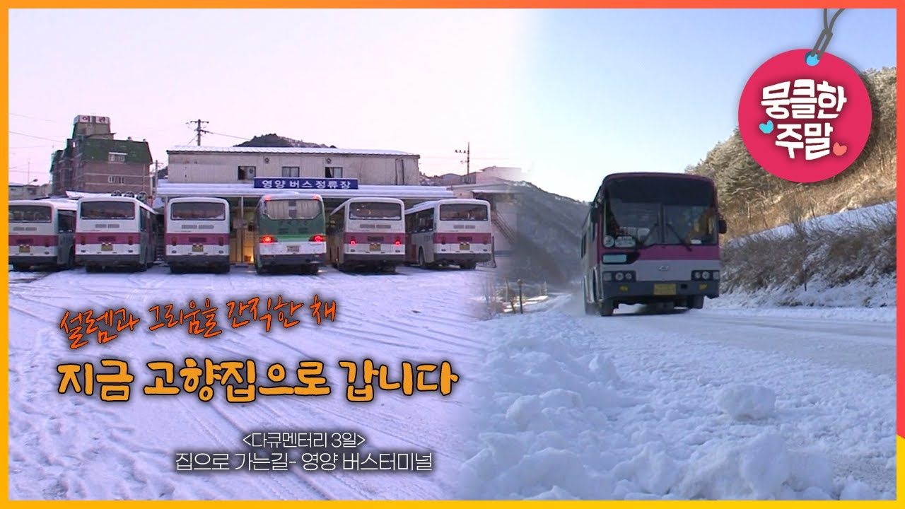 [뭉클한 주말🥰 #186]  지금 고향집으로 갑니다 | 집으로 가는 길- 영양 버스터미널 [다큐3일 090131 KBS 방송]