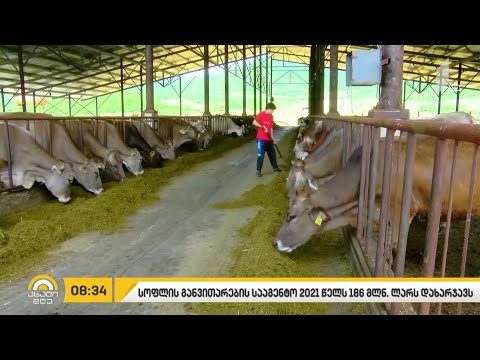 მუნიციპალურმა ტრანსპორტმა დღეიდან მუშაობა განაახლა