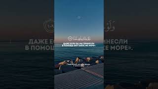 Сура Аль-кахф ( пещера) Аяты 109-110 #чтение #коран #ислам #мусульмане #islam #quran #умма