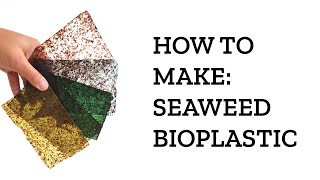 How to make Algae Seaweed Bioplastic - BEST tips and tricks!