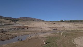 Faced with desertification in Spain, resistance is organized