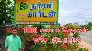 Cheap Nursery in Tamilnadu|  Cheapest Plant Nursery | biggest nursery| nursery tour | Country Farmss