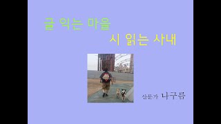 눈 내리는 마을 (최서림 시) 낭송 : 나구름
