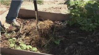 Bug Control : How Do I Organically Get Rid of Bugs in a House Plant's Soil?