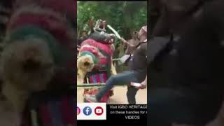 Behold the grand appearance of mgbadike masquerade 