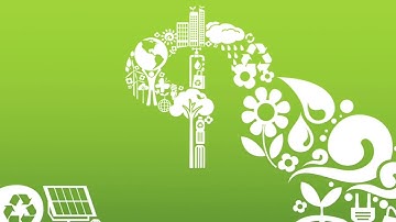 Is Economic Growth Possible on a Finite Planet?