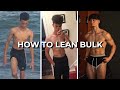 How to lean bulk