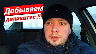 Отправился на поиски ЕДЫ для Васи !!!