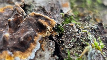 Sometimes earth feels like an alien place