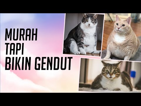 Video: Mengira Tahap Karbohidrat Dalam Makanan Kucing - Matematik Yang Diperlukan