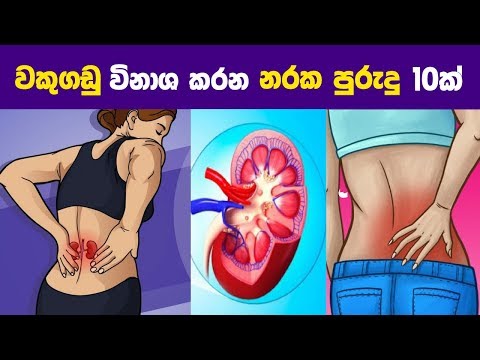 වකුගඩු විනාශ කරන නරක පුරුදු දහයක් | 10 Common Habits That May Harm Your Kidneys