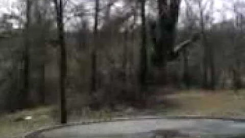 Terrance cutting backflips