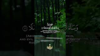 { وَنَحْشُرُ الْمُجْرِمِينَ يَوْمَئِذٍ زُرْقًا }