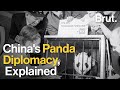 Chinas panda diplomacy explained