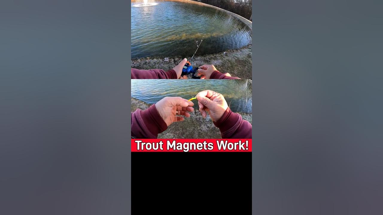 Try This Tip When Fishing Trout Magnets! #fishing #trout