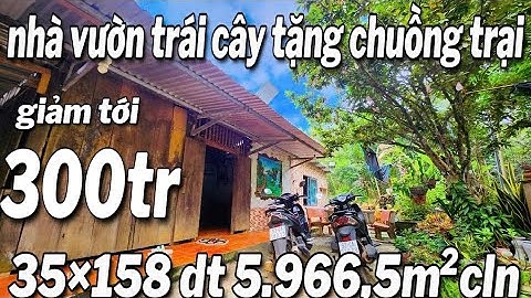 nhà vườn trái cây sầu riêng tặng chuồng trại chăn nuôi mặt tiền nhựa 35×158 dt 5966,5m² giá 167tr/s