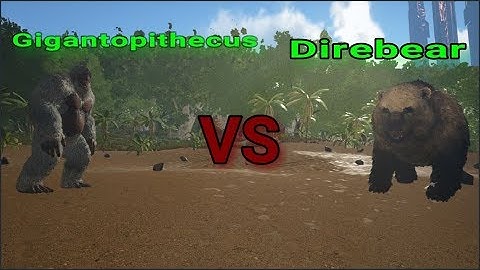 Gigantopithecus vs Direbear   Ark: Survival Evolved