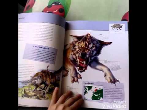 Видеообзор 1. Книга ''фантастические существа.'' Видеообзор 1. Книга ''фантастические существа.''