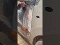 Most Satisfying Car Door Putty Application Ever Perfect Body Filler Repair #automobile #puttywork