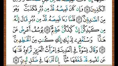 ختمة مصحف التجويد برواية قالون الصفحة رقم  238