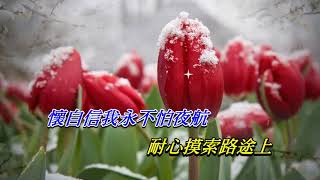 誰能明白我   林子祥〈卡拉伴奏版〉