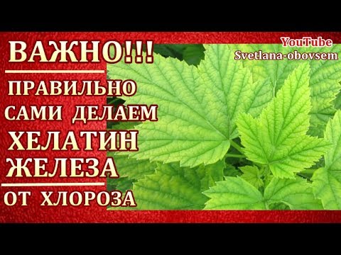 Хелат железа своими руками на 10 литров воды