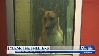 Clear the Shelters event
