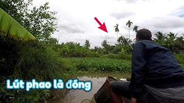 Câu đài tự nhiên | Câu cá điêu hồng ao hoang cá ăn quá nhậy cứ lút phao liên tục - Nhật Ký Cần Thủ