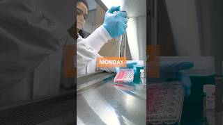 Functional neurons in just five days 📆