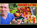 Conservation d'un excès de récolte ► Exemple du tian de légumes à congeler