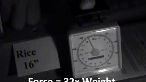 Static versus Dynamic Loads in under 60 Seconds