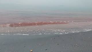 Silver Sands & Red Waves – Peaceful Red Sea Escape @iran (No Music)