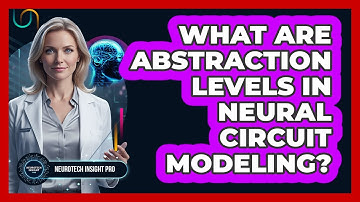 What Are Abstraction Levels in Neural Circuit Modeling?
