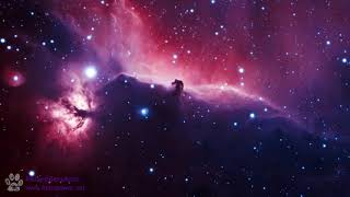 The HorseHead Nebula - By PhilandBenjiAstro