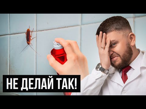 ДИХЛОФОС НЕ ПОМОЖЕТ! Как НА САМОМ ДЕЛЕ избавиться от тараканов в квартире?