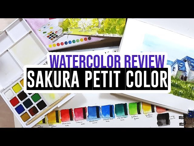 Koi Watercolor Set Review: Is It Any Good? 