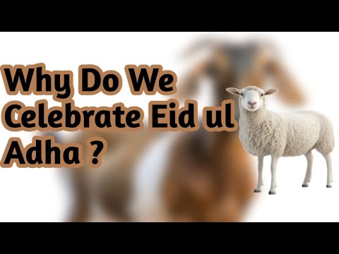 Why is Eid ul Adha celebrated ? Story behind celebrating Eid ul Adha 🐑🐐