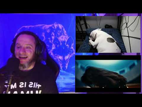 REACTION Alexandra Capitanescu   Choke Me Official Video
