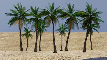 Test Render in Blender Cycles of high detailed but low poly Coconut palms for backgrounds