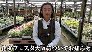 花友フェスタから大事なお知らせがあります【カーメン君】【園芸】【ガーデニング】
