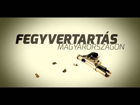 Puzsér: merjünk beszélni a nyuggerbűnözésről és a fegyvertartásról
