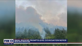 Small wildfire burns near Lake Whatcom | FOX 13 Seattle