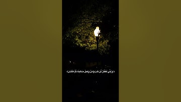 احترم قرآن الكريم #explore #اكسبلور #حالات_واتس #راحة_نفسية #قرآن #قران_كريم #تيك_توك #ترند #لايك