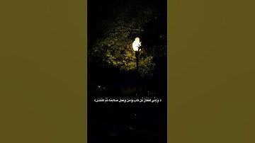 احترم قرآن الكريم #explore #اكسبلور #حالات_واتس #راحة_نفسية #قرآن #قران_كريم #تيك_توك #ترند #لايك